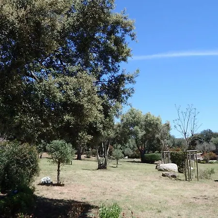 Appartement Luxe Et Confort A Porto-vecchio *
